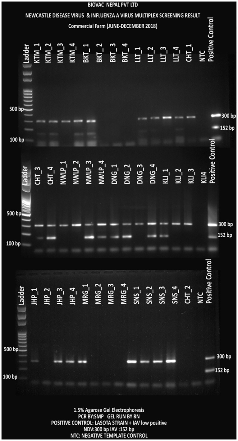 Fig 11