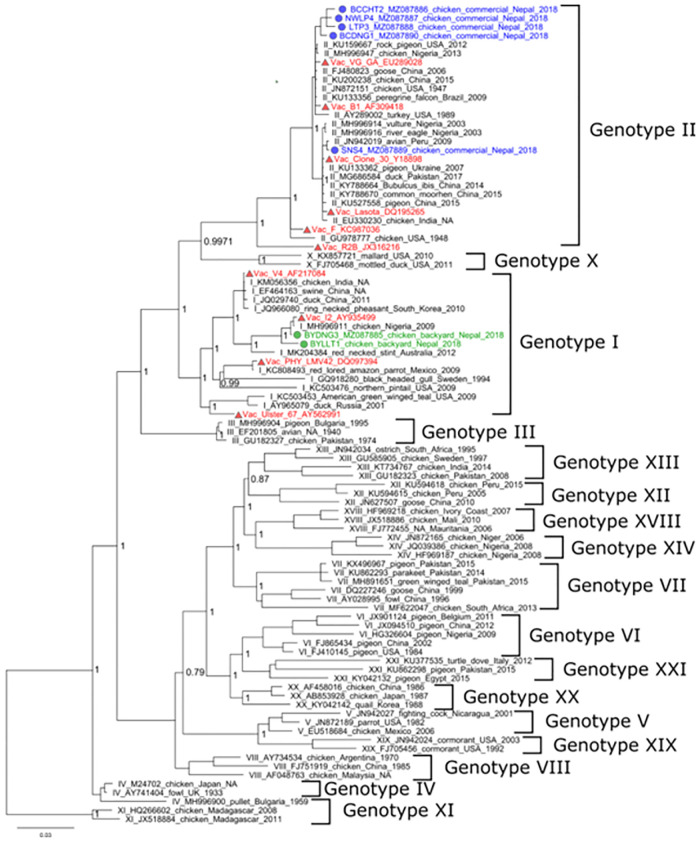 Fig 6