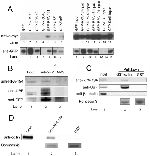 FIGURE 4: