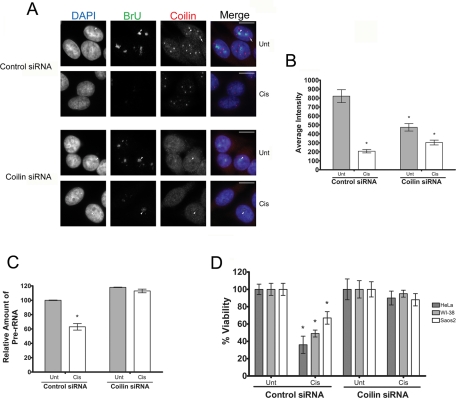 FIGURE 6: