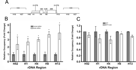 FIGURE 7: