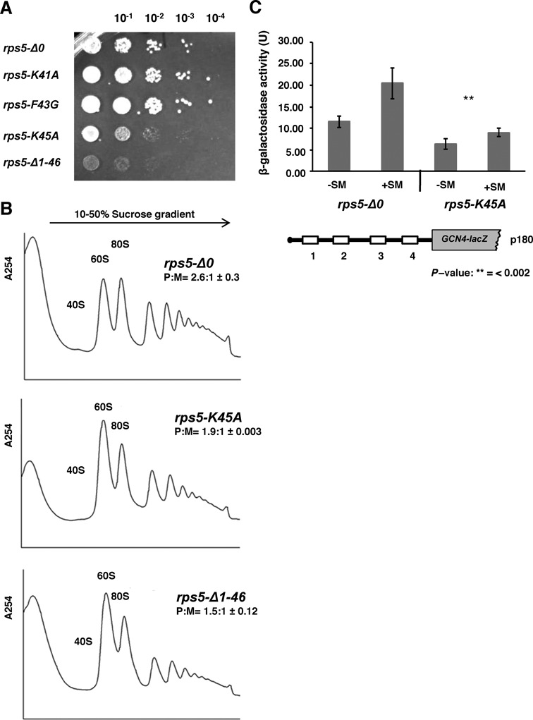 Figure 6.