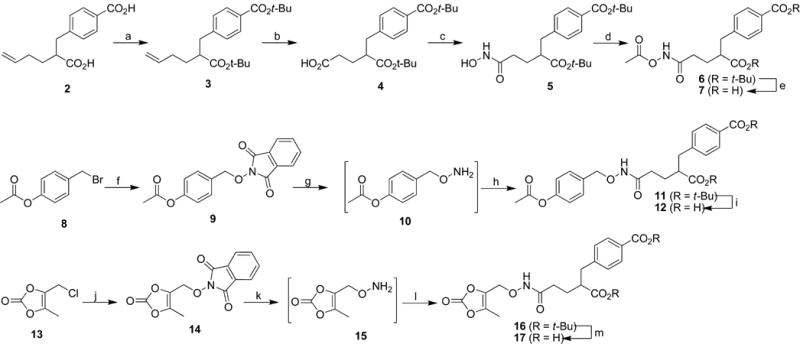 Scheme 1