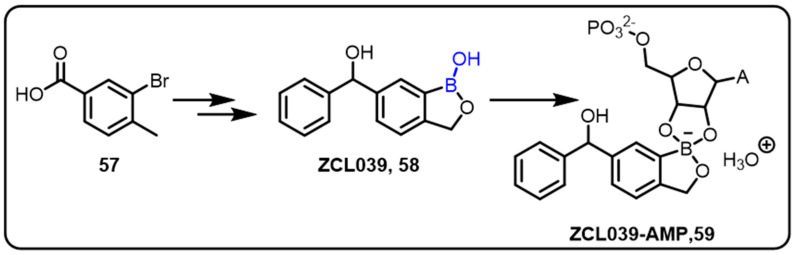 Scheme 17