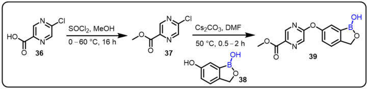 Scheme 10