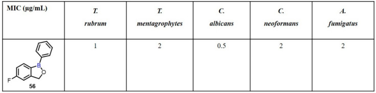 Scheme 16