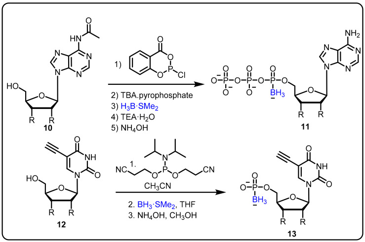 Scheme 4