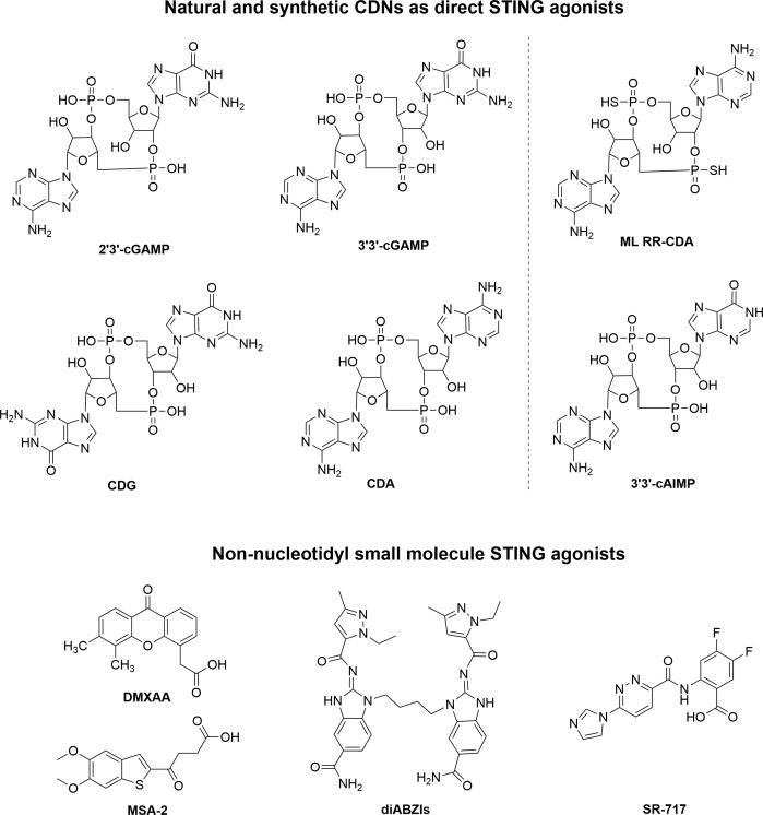 Figure 2