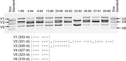 Figure 2.—