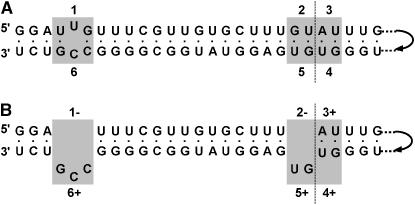 Figure 1.—