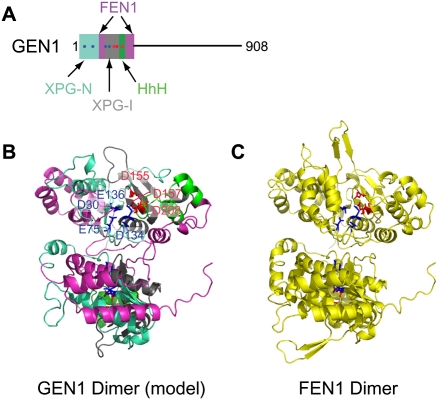 Figure 4.