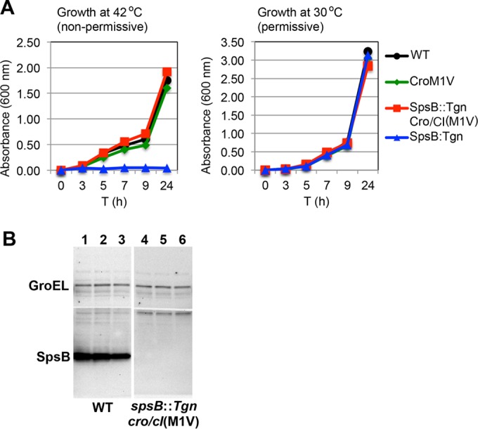 FIG 3 