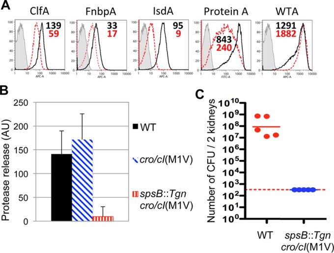 FIG 4 