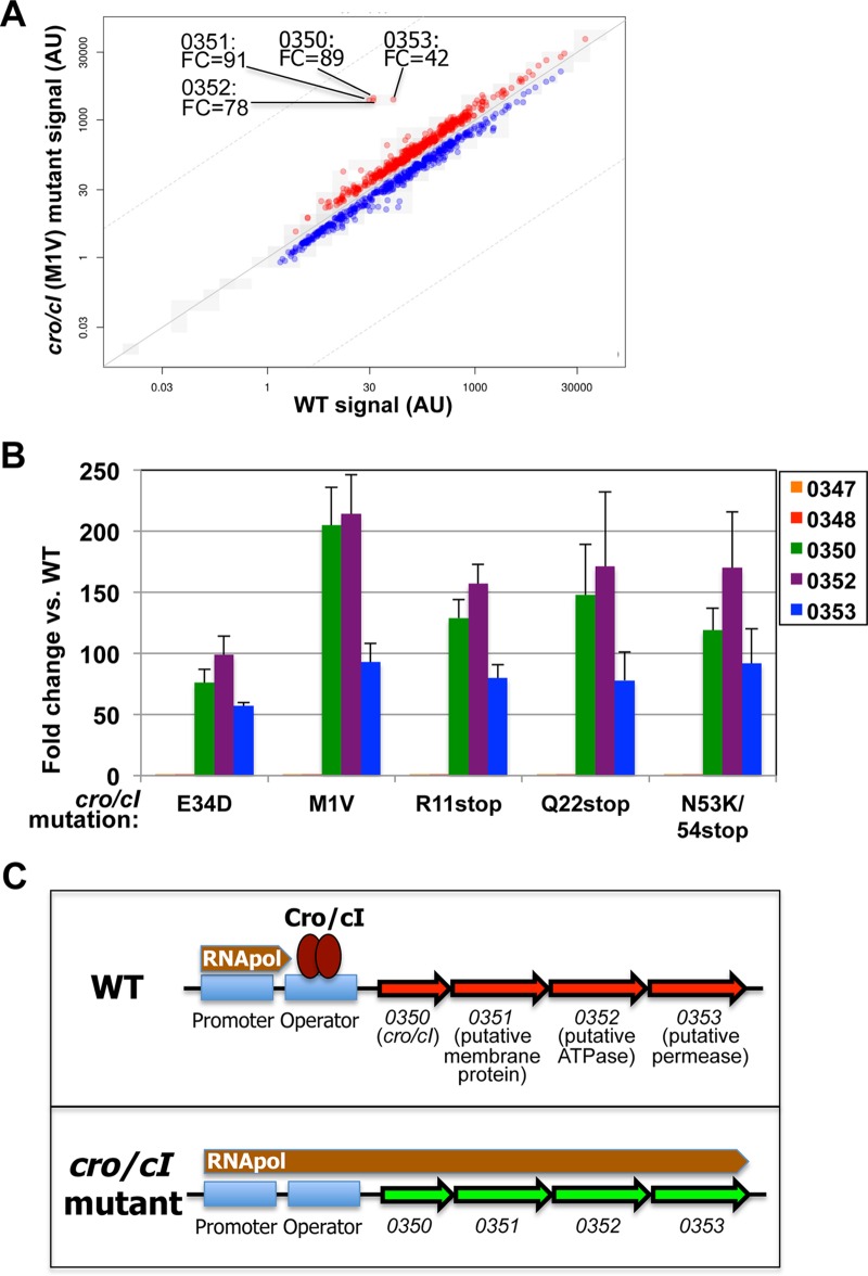 FIG 2 