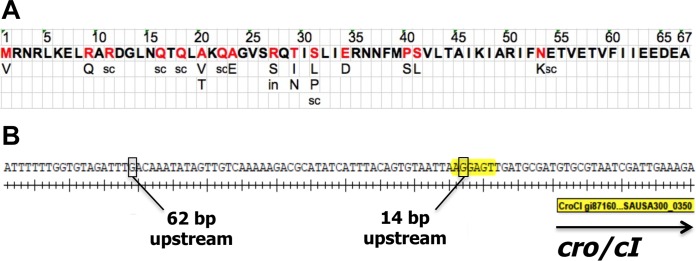 FIG 1 