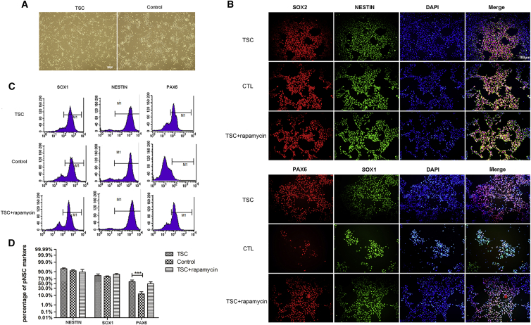 Figure 3