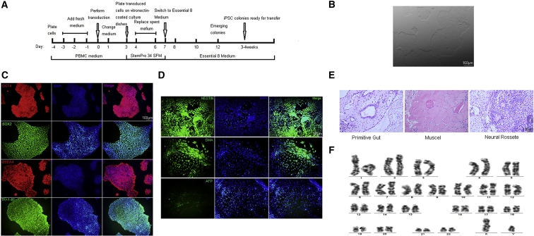 Figure 2