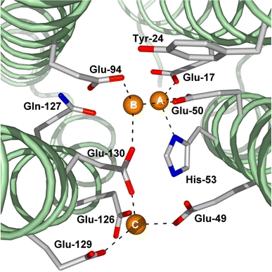 Fig. 6