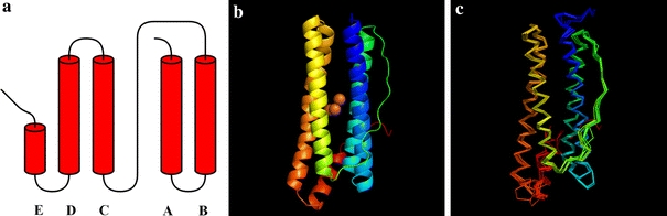 Fig. 1