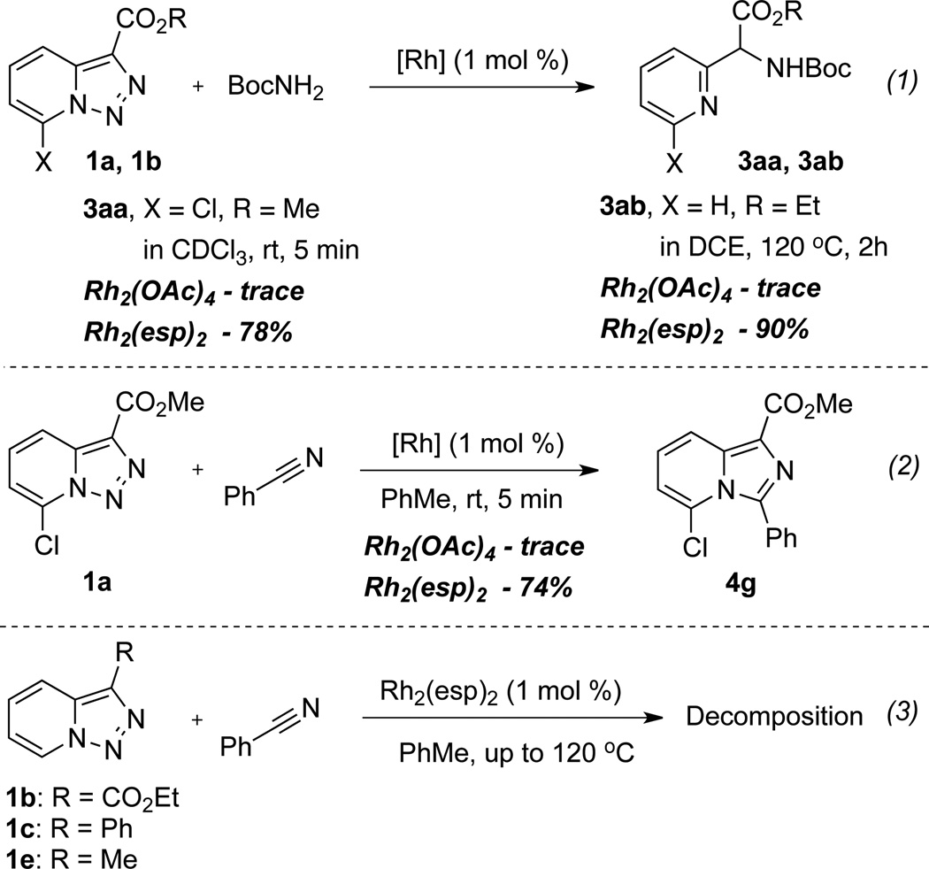 Scheme 2