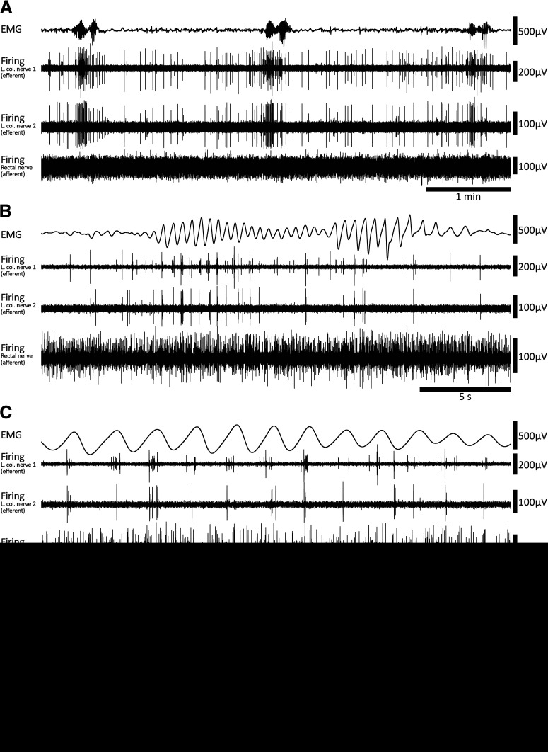 Figure 9.