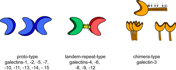 Fig. 1