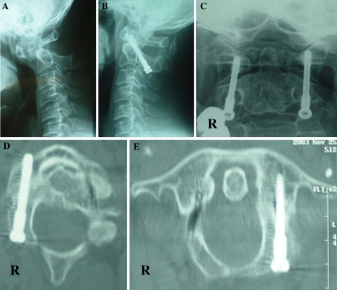 Fig. 5