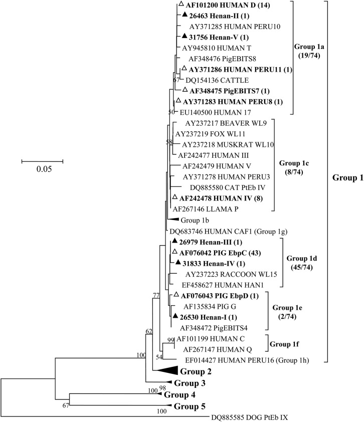 Fig 1