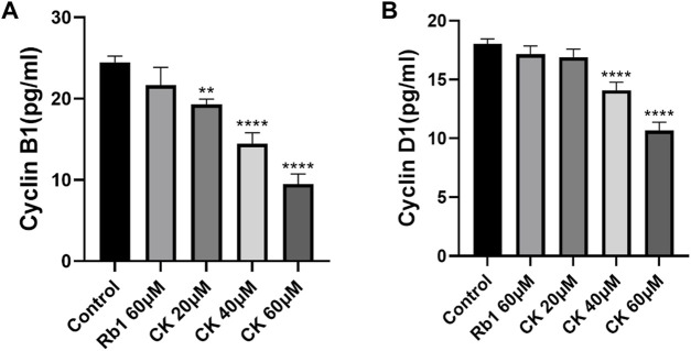 FIGURE 4