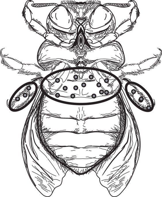 Fig. 3.