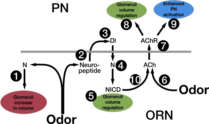 Fig 8