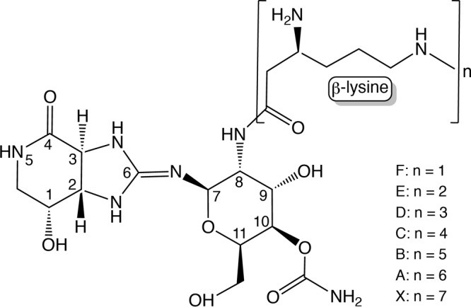 FIG 1