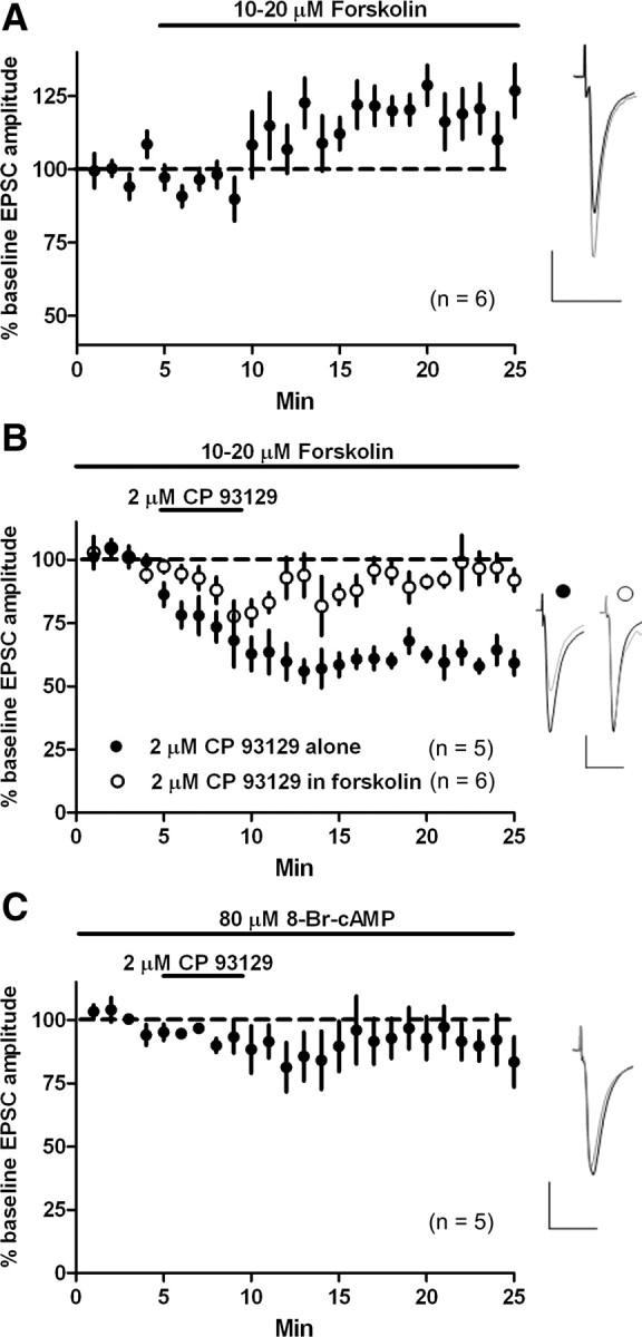 Figure 9.