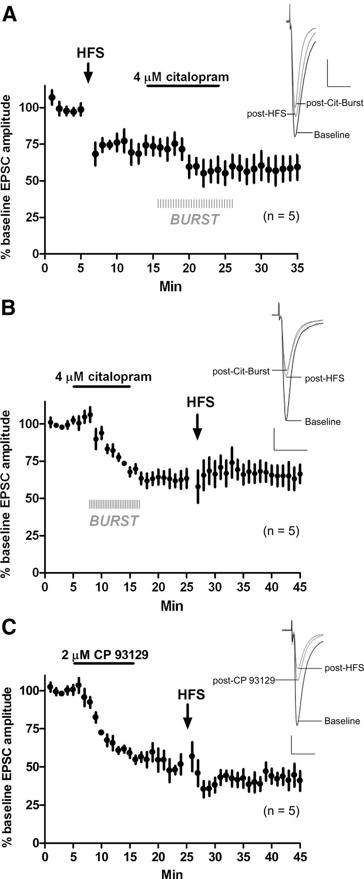 Figure 10.