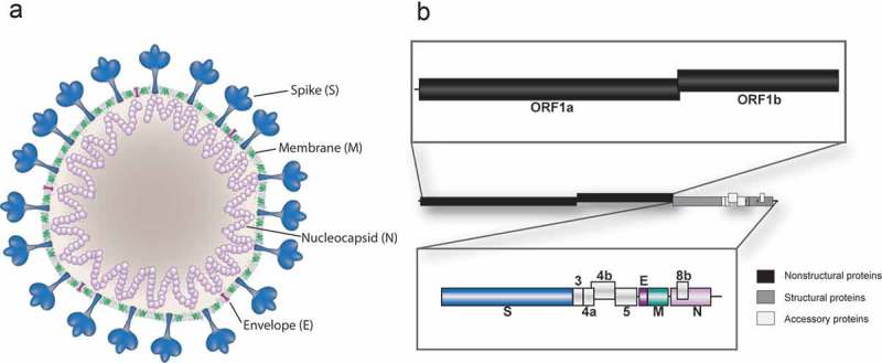 Figure 2.