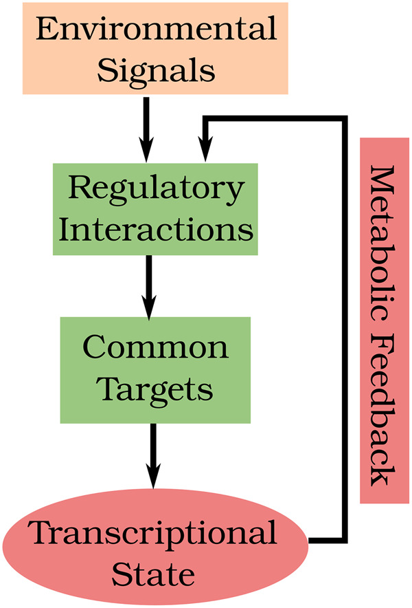 FIGURE 5: