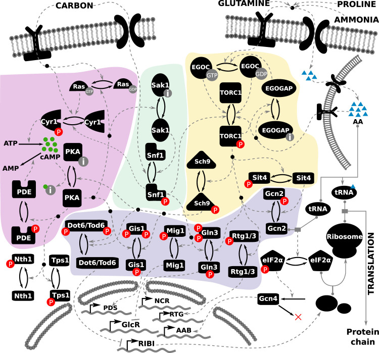 FIGURE 1: