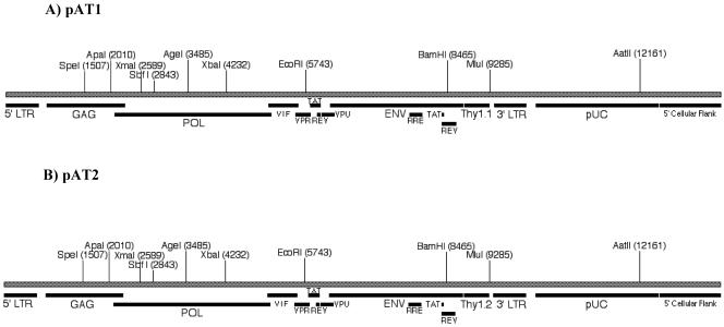 FIG. 1.