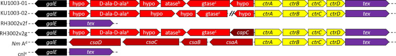 Fig. 3.