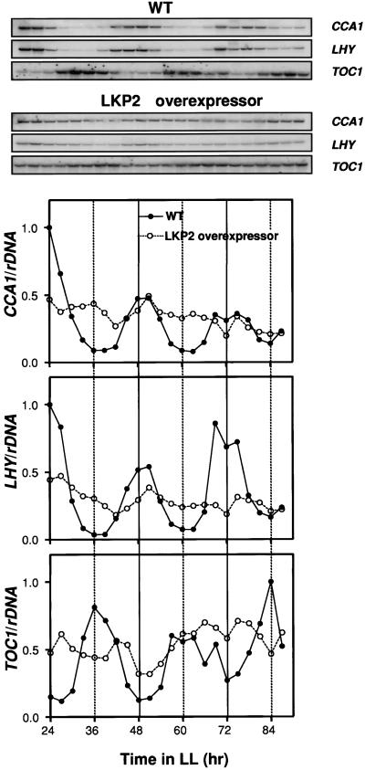 Figure 9.