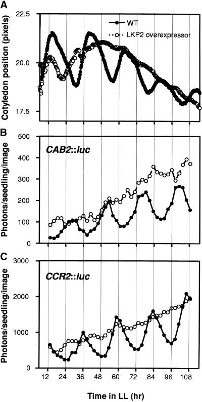 Figure 2.