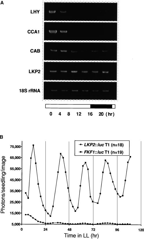 Figure 7.