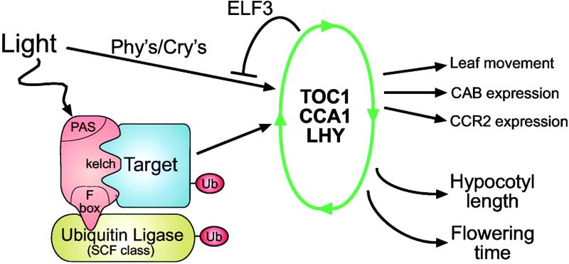 Figure 10.