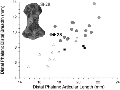 Fig. 8.