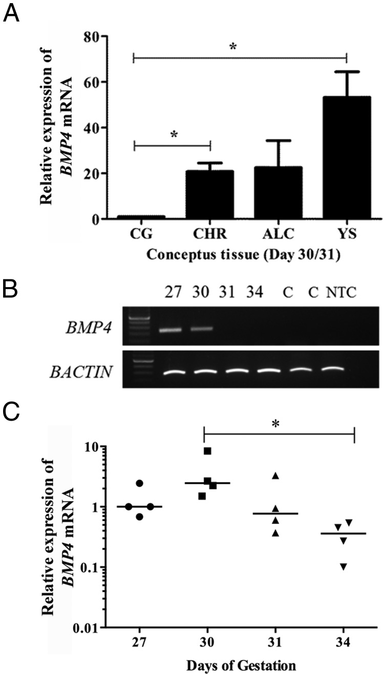 Figure 5.