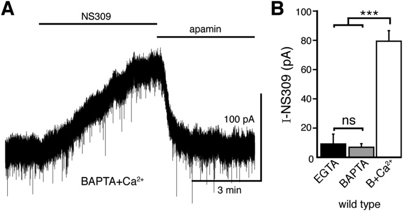 Figure 3—figure supplement 1.