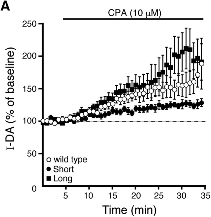 Figure 5—figure supplement 1.