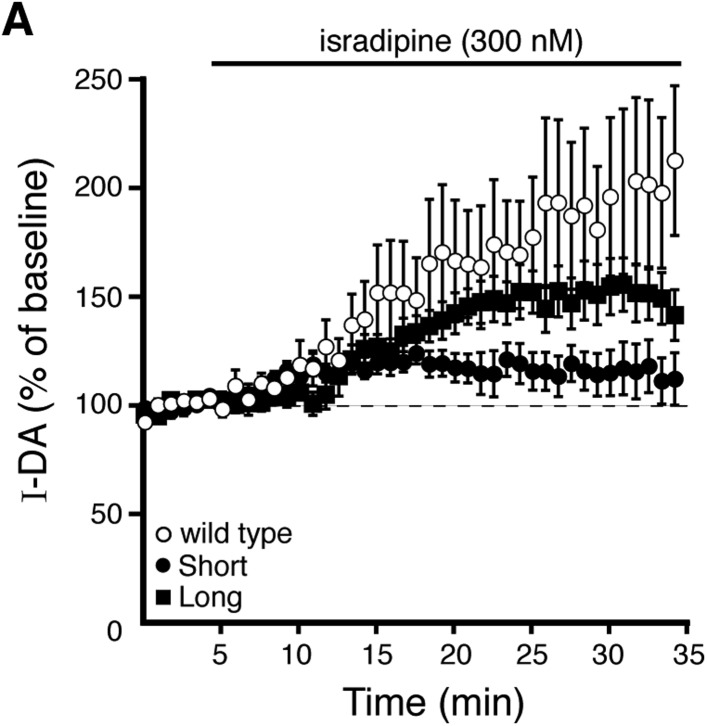 Figure 6—figure supplement 1.