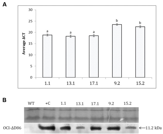 FIGURE 3