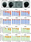 Figure 2A is a stained tissue with four columns, namely, before ovulation with 100 micrometers, ovulated follicle with 100 micrometers, metaphase 2 egg with 25 micrometers, and un-ovulated follicle with 100 micrometers. Figure 2B is a set of six stacked bar graphs titled perfluorooctanoic acid, perfluorooctanesulfonic acid, Perfluorononanoic acid, Perfluoroheptanoic acid, Perfluorobutane sulfonate, and GenX, plotting ovulation rate (percentage), ranging from 0 to 120 in increments of 20 (y-axis) across micrometers, ranging from 0 to 1 in unit increments, 1 to 10 in increments of 9, 10 to 100 in increments of 90, 100 to 250 in increments of 100 (x-axis) for ruptured and unruptured, respectively. Figure 2C is a set of six stacked bar graphs titled perfluorooctanoic acid, perfluorooctanesulfonic acid, Perfluorononanoic acid, Perfluoroheptanoic acid, Perfluorobutane sulfonate, and GenX, plotting ovulation rate (percentage), ranging from 0 to 120 in increments of 20 (y-axis) across micrometers, ranging from 0 to 1 in unit increments, 1 to 10 in increments of 9, 10 to 100 in increments of 90, 100 to 250 in increments of 100 (x-axis) for metaphase 2 and non- metaphase 2, respectively.